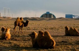 Оюутолгой ордын ашиглалтад Монгол Улсын эрх ашгийг хангуулна