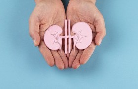 Сайн дурын үндсэн дээр 21 нас хүрсэн иргэн “Донор” болно