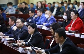Халиа тошин үүсдэг байршлуудад шалгалт хийж, болзошгүй эрсдэлээс урьдчилан сэргийлж байна