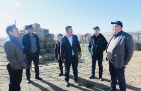 Хувийн аж ахуйн нэгжийн төлж буй НДШ хэт өндөр болж, үйл ажиллагаа явуулахад дарамттай боллоо
