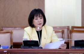 Д.Өнөрболор: Нүүрсээр ажиллах станцуудын тоог нэмэхийг дэмжихгүй