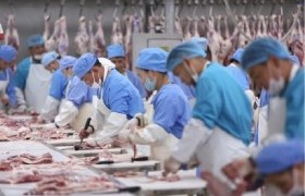 Мал, мах, амьтан, ургамалын экспортын хяналтыг сайжруулна