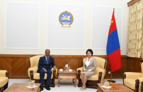 Монгол-Энэтхэгийн парламентын бүлгийн дарга Б.Саранчимэг Элчин сайд А.М.Готсурвэтэй уулзлаа