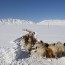 Халхгол суманд Засгийн газрын нөөц сангаас хөрөнгө гаргалаа