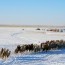 9 дүгээр сарын нэгэн гэхэд өвөлжилтийн бэлтгэлээ хангаж дуусна