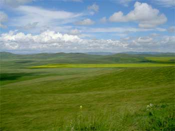 Энэ онд 255.5 га газар өмчлүүлнэ