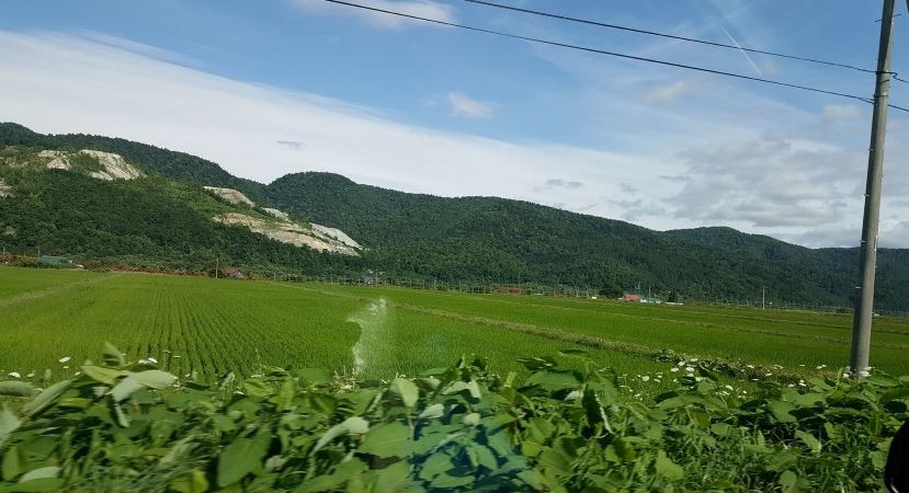 Ургамлын генетик нөөцийг хадгалж, ашиглах, сайжруулах боломжтой боллоо