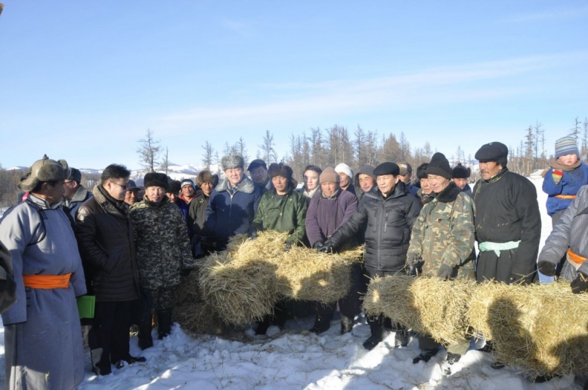 Хөвсгөл аймгийн өвөлжилт хүндэрсэн сумдад өвс тэжээл хүргэхээр боллоо