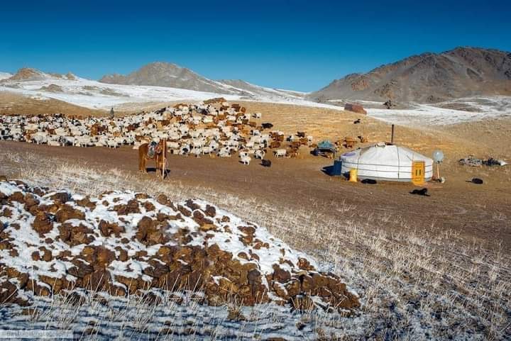 Булган аймгийн Улсын аварга малчид, тариаланчид тодорлоо