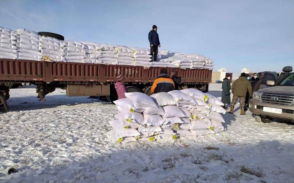 Өмнөговь аймгийн 10 сумын 4017 малчин өрх тусламжид хамрагдана