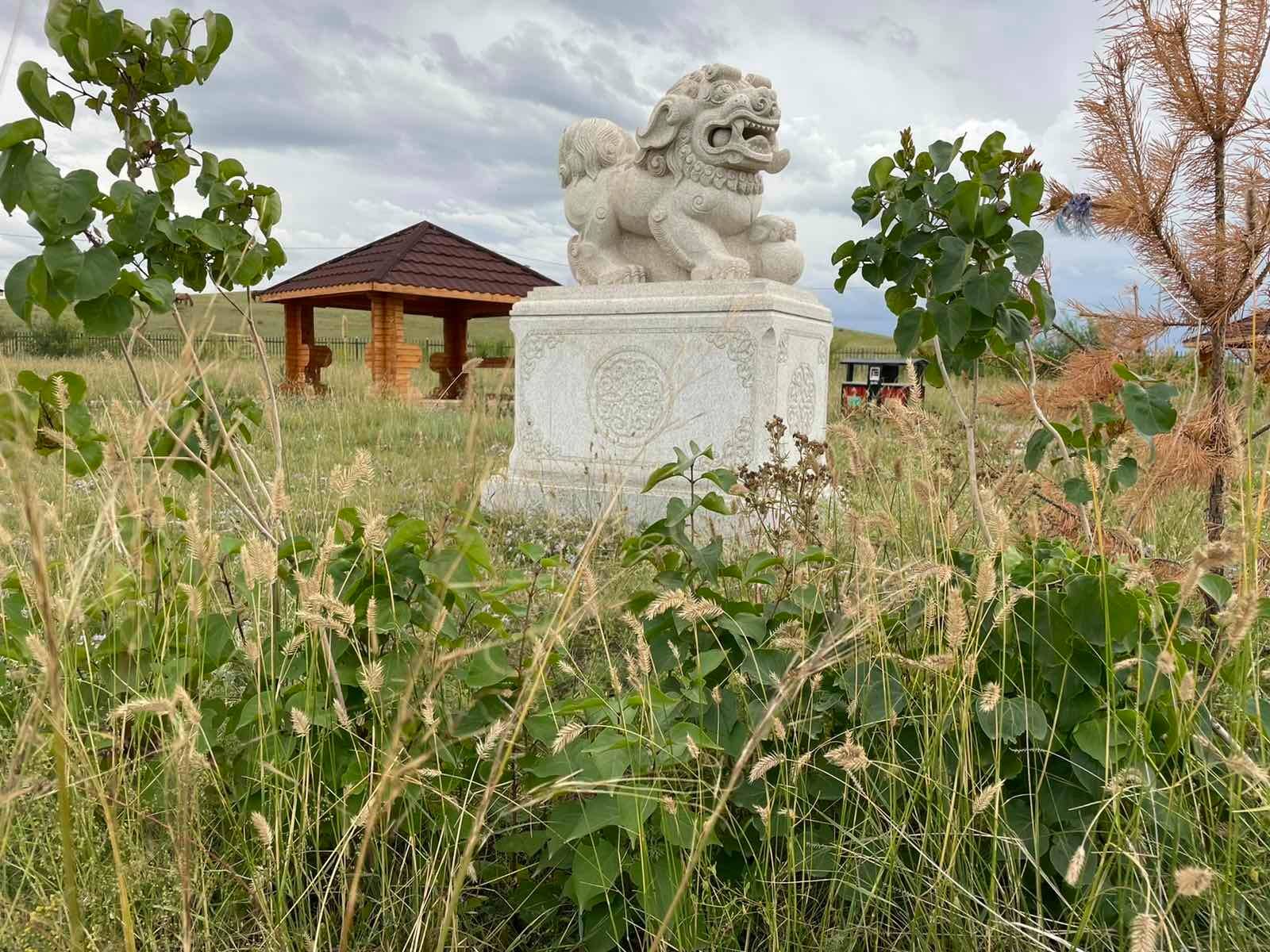 Ж.Батсуурь гишүүн Сүхбаатар аймагт ногоон байгууламж нэмэгдүүлэх талаар анхаарч 100 гаруй сая төгрөгийг шийдэж өгчээ