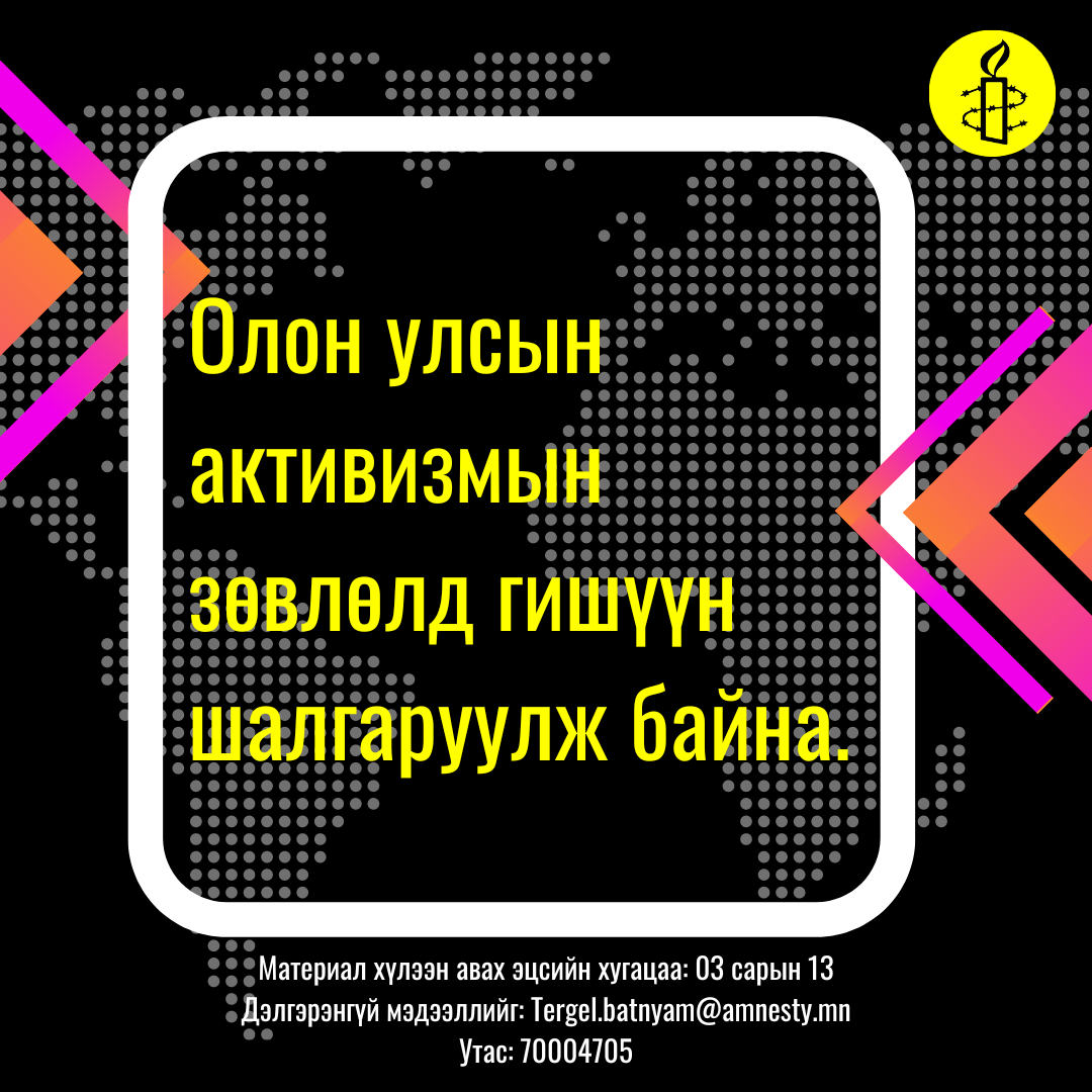 Эмнести Интернэшнлийн Олон Улсын активизмын зөвлөлд гишүүн шалгаруулна