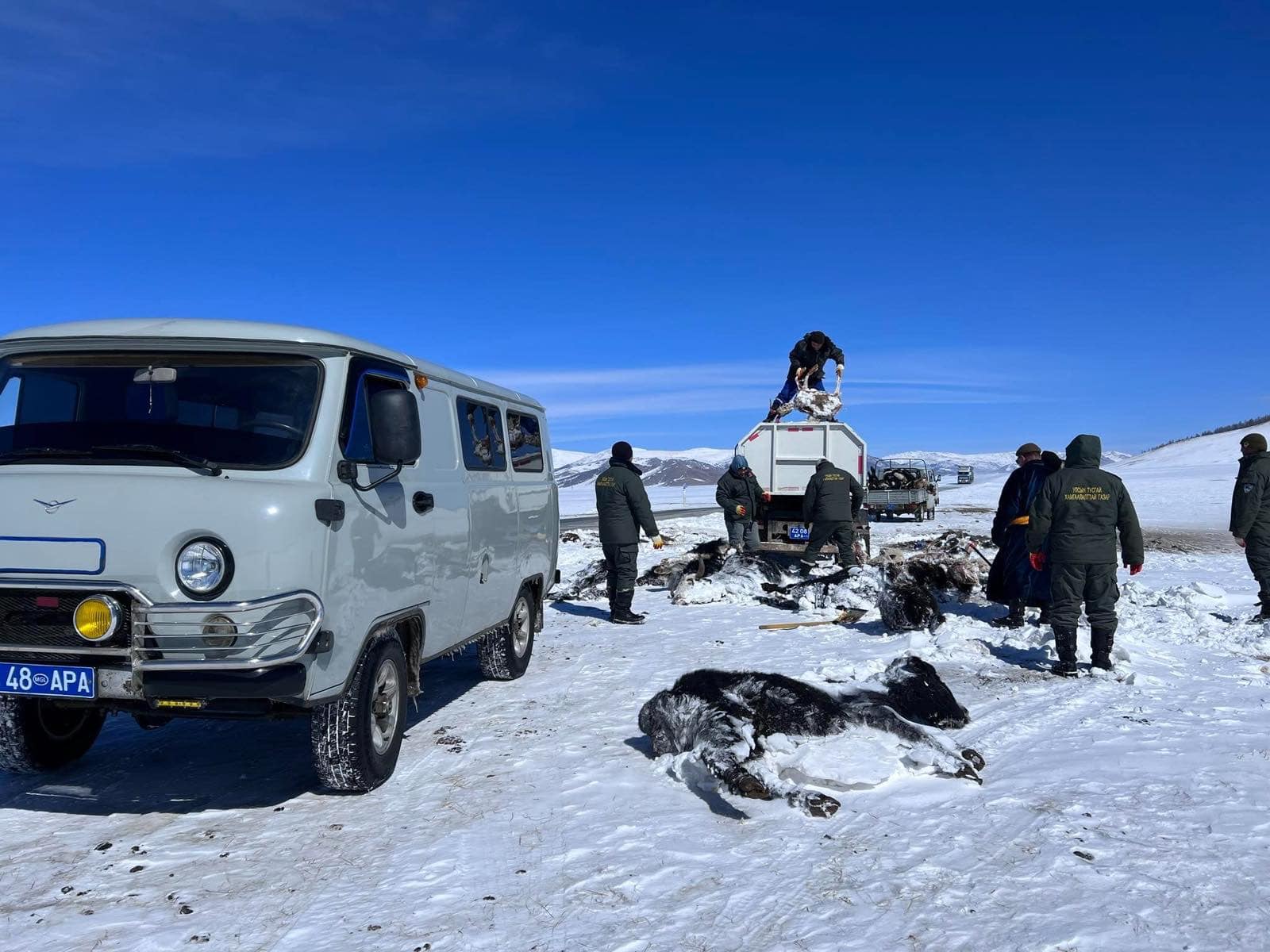 ХАМЖИХГҮЙ БОЛ АМЖИХГҮЙ АЯН ҮРГЭЛЖИЛЖ БАЙНА