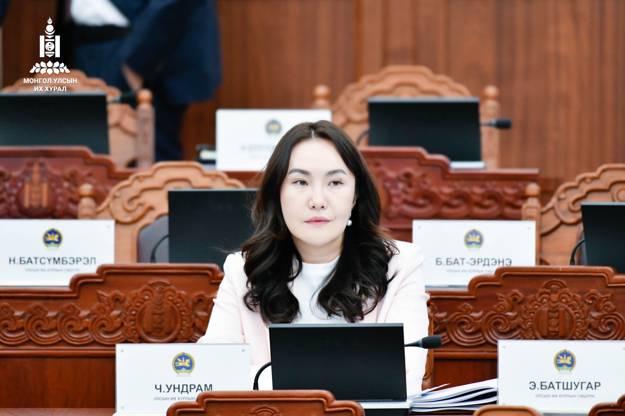 Ч.Ундрам: Улс орны нөхцөл байдал хүнд үед улс төрийн манлайлал үзүүлж чадах, эдийн засгийн мэдлэгтэй, туршлагтай улстөрч байгаасай